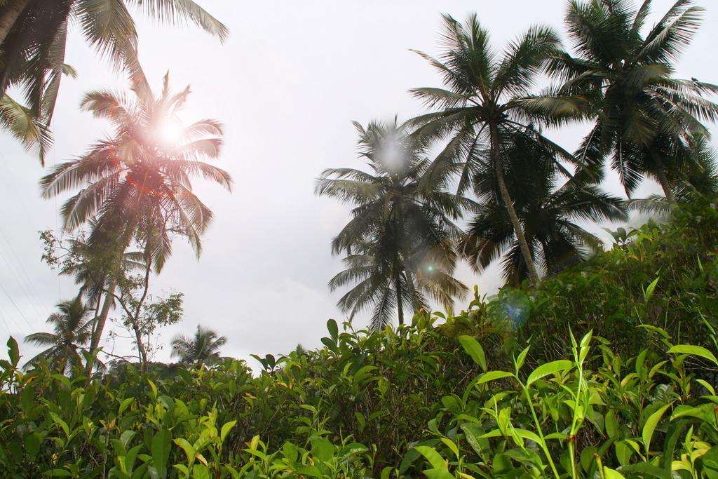 Athulya Villas, Kandy Kadugannawa エクステリア 写真