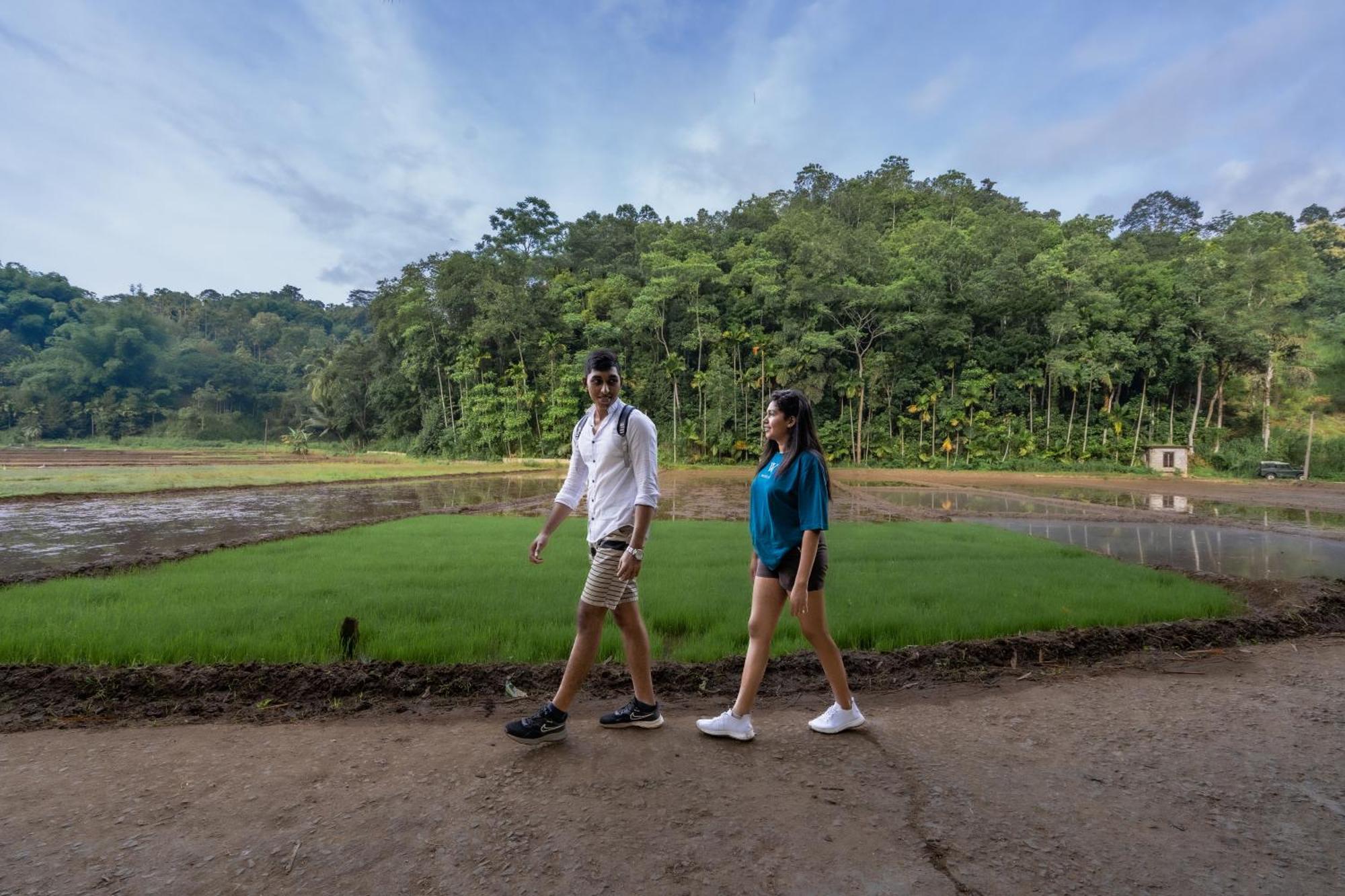 Athulya Villas, Kandy Kadugannawa エクステリア 写真